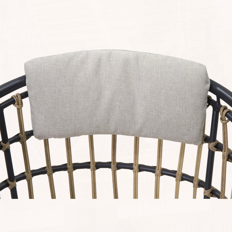 Ensemble de 2 chaises d'extérieur en osier avec coussins