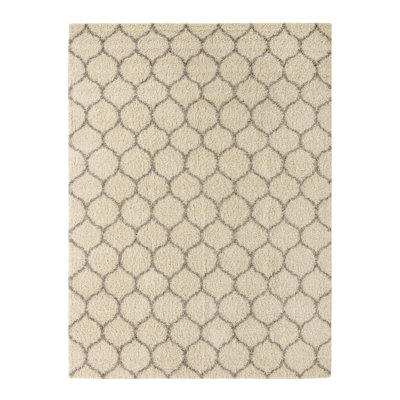 Geometric Indoor Rug