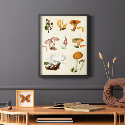 «Mushroom Species VI», reproduction encadrée - bois massif