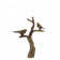 Bird On Branch