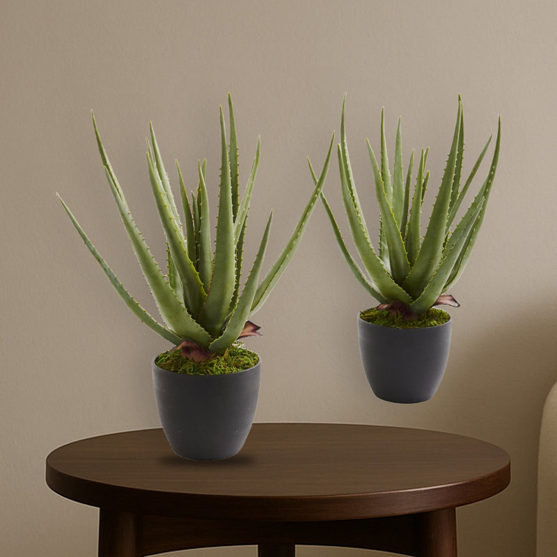 Aloe Artificial Plant (Set of 2)