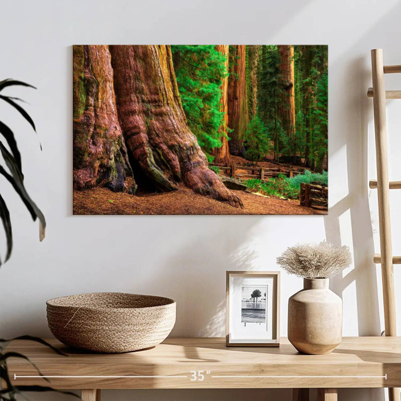 Harnek Sturdy Sequoia Tree, 16" H x 24" W