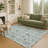 Machine Washable Indoor/Outdoor Chantille ACN2471 Global Rug-691683312-691683272