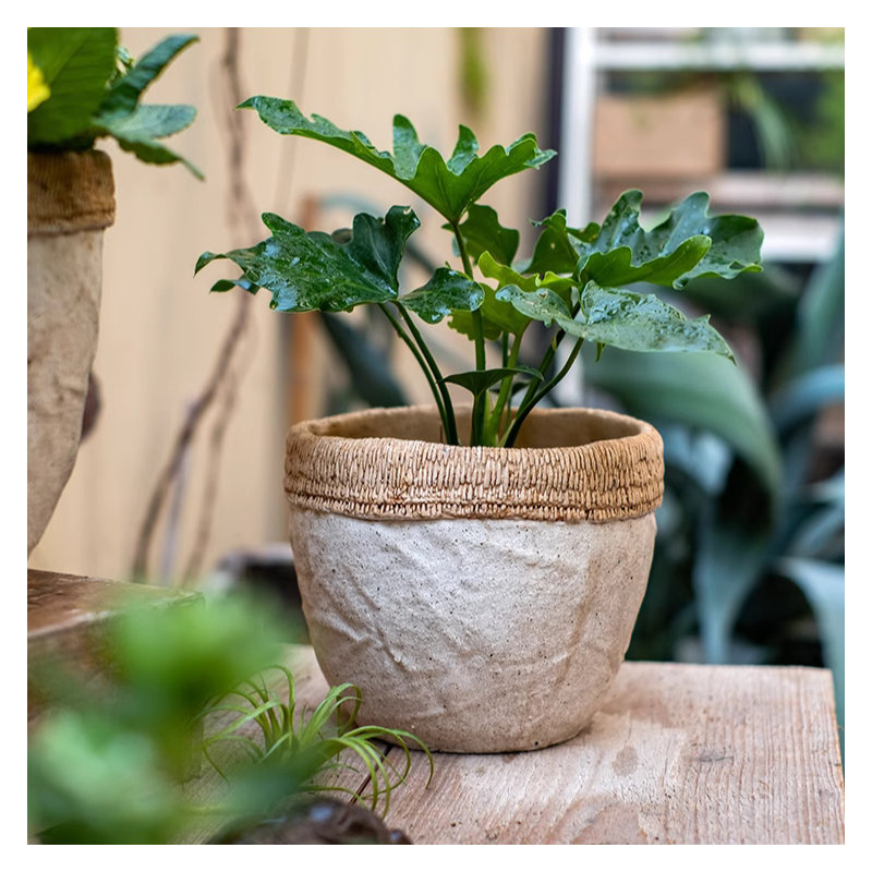 Pot de fleurs en ciment à motif de rotin, H 4,7 po x l 7,08 po x P 7,08 po