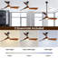 Desir 52cm Ceiling Fan with LED Lights-683541606