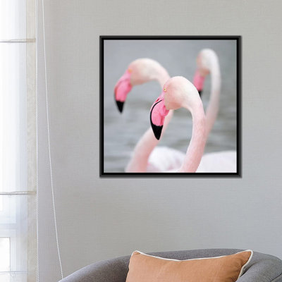 " Flamingo I " by Ben Heine