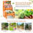 Modrok Handmade Wood Raised Garden Bed with Trellis