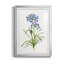 Blue Lived Botanical I - Cadre photo, reproduction d'art sur papier-847047002-847046996