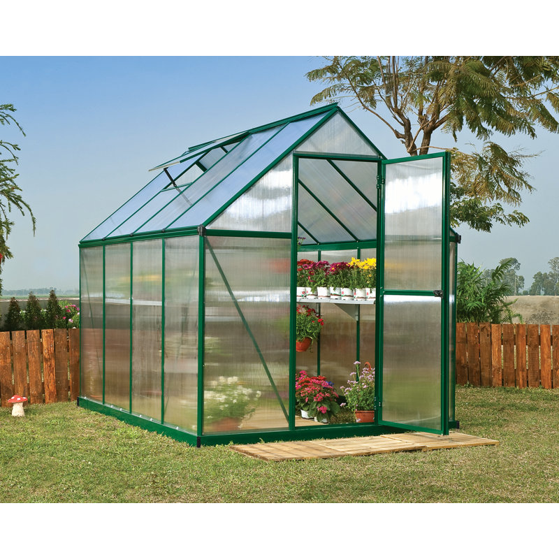 Palram - Canopia Mythos 6' W x 8' D Walk-In Hobby Twin Wall Polycarbonate Aluminum Frame Greenhouse Kit with Roof Vent - Green