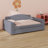 Upholstered Daybed With Storage Armrests, Trundle Bed And Latest Integrated Bluetooth Audio System-474483553-474483554