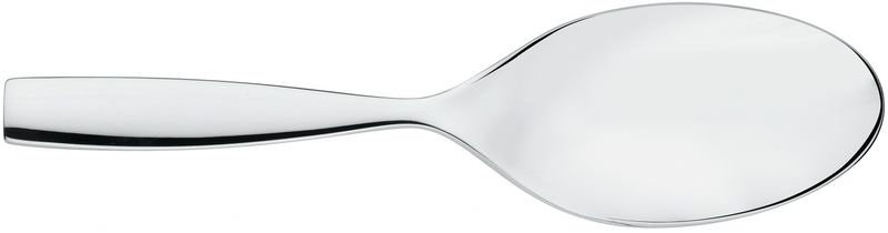 Dressed Stainless Steel Serving Spoon