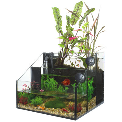 Réservoir d'aquarium rectangulaire Shimizu