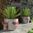 Beasley Handmade Ceramic Cachepot-23844474