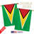 Double Sided Polyester Garden Flag-18886434