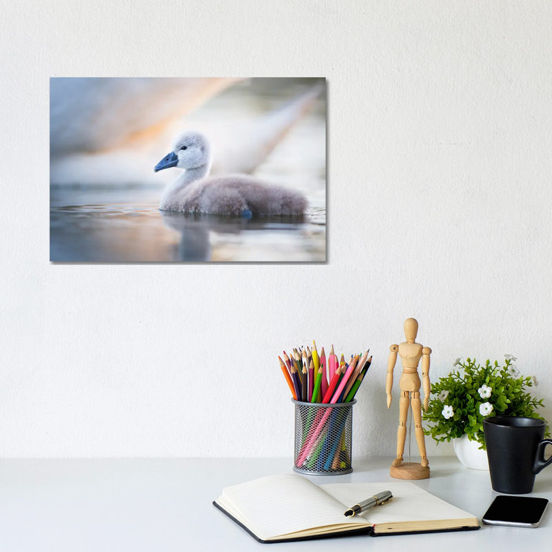 Cygnet II by Mateusz Piesiak - Wrapped Canvas Print, 20.32 cm H x 30.48 cm W