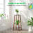 Arvile 2-Tier Bamboo Plant Stand