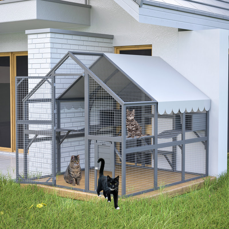 Maison d'extérieur pour chat avec enclos de soleil, perchoir ludique, Moyen (H 74,02 po x l 74,02 po x P 82,68 po)