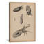 «Animal Curiosity Octopus Die Cedhalopoden», impression sur toile-10797083-73863411-73863412