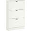 Armoire de rangement pour chaussures d'entrée 12 paires