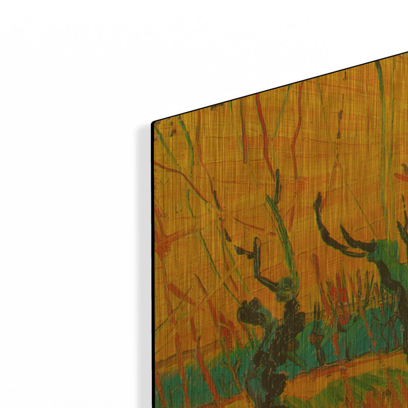 «Willows At Sunset» par Vincent Van Gogh, art mural en métal doré, 36 po x 36 po, 36 po x 36 po