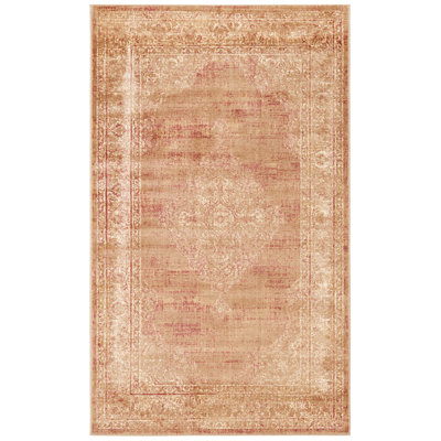 McManus Oriental Hand Woven Area Rug