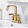 Dayani Centerset 2-handle Bathroom Faucet with Drain Assembly