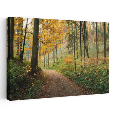 Route qui traverse une forêt, Bade-Wurtourg, Allemagne, art contemporain de paysage abstrait