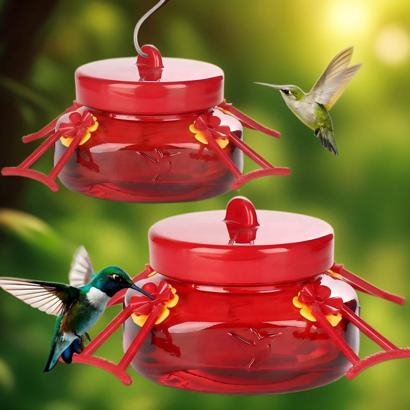 Ensemble de 2 mangeoires à colibri en verre avec 4 ports d'alimentation pour fleurs, pot Mason pour suspendre à l'extérieur, facile à nettoyer et à remplir