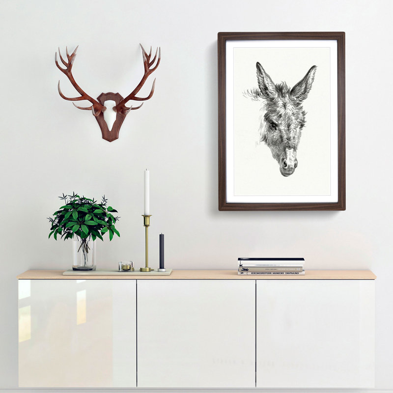 The Sketch of a Donkey by Jean Bernard - Picture Frame Drawing Print, 48cm H x 36cm W x 2cm D, Walnut Framed