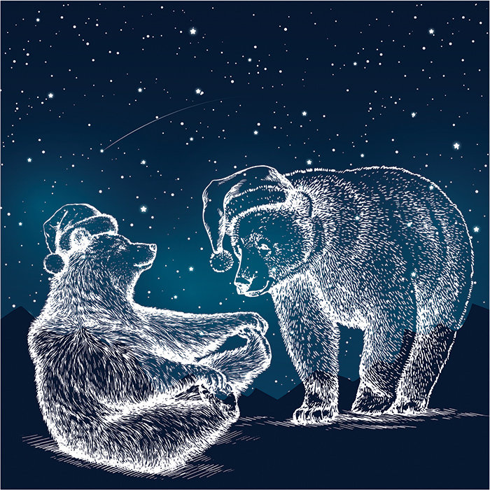 Vandergriff Matte Wall Mural, 208 x 146cm