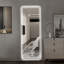 64"X21" Full Length Floor Mirror LED Whole Body Mirror, Wall Mounted  Mirror With Lights, Bedroom Full Size Body Mirror With Dimming & 3 Colour Modes