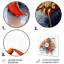 Freshwater Crayfish III - Animals Metal Wall Decor-1479541477