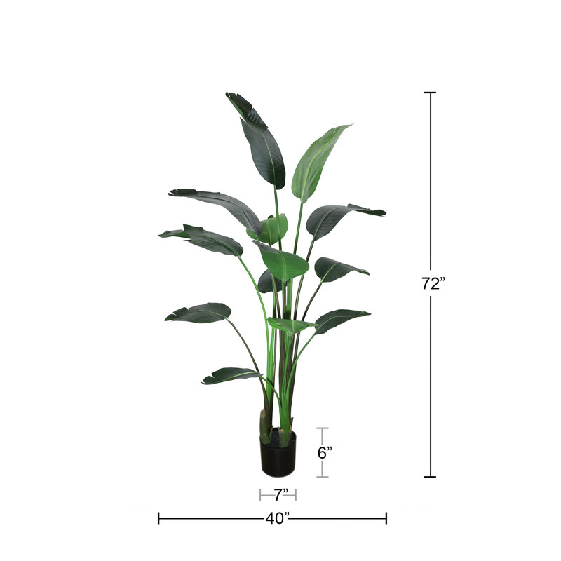 Faux Bird of Paradise Drop-In Plant