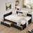 Velvet Upholstered Tufted 3-in-1 Sofa Bed & Daybed - 2 Storage Drawers, Ergonomic Backrest/Armrests, 300lbs Capacity for Living Room/Bedroom/Office-109671185