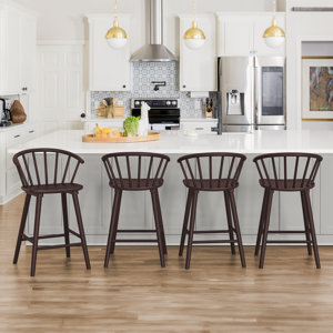 https://assets.wfcdn.com/im/96477509/resize-h300-w300%5Ecompr-r85/2839/283922471/Rosamaria+Solid+Wood+Counter+Stool.jpg