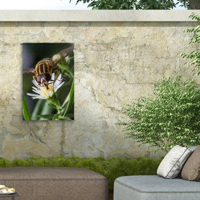 Animals Wall Decor
