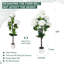 121.92cm Plant