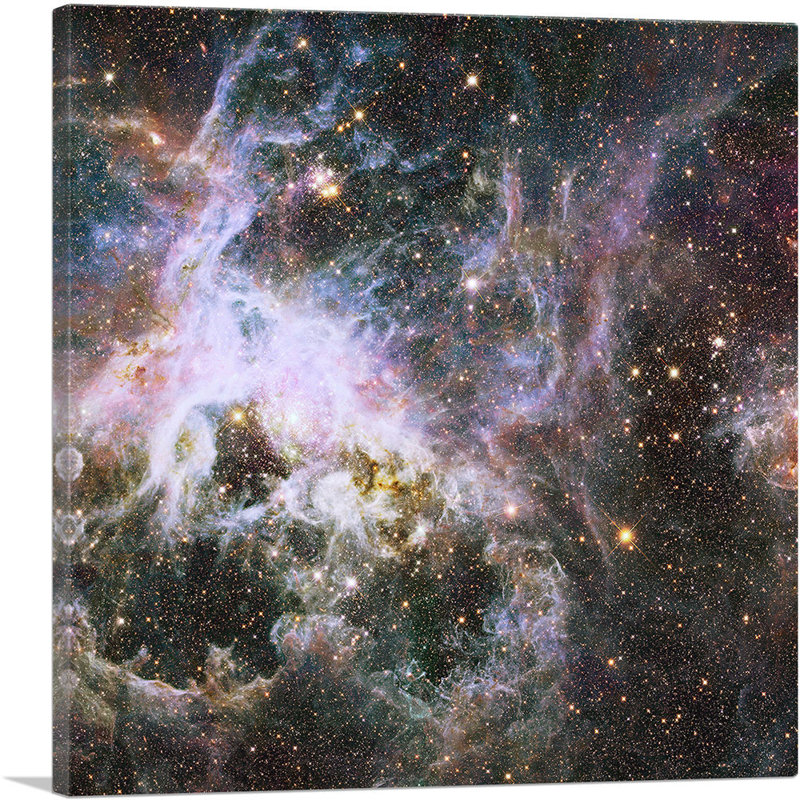 Hubble Telescope Infrared Tarantula Nebula - impression sur toile tendue, H 12 po x l 12 po x P 0,75 po