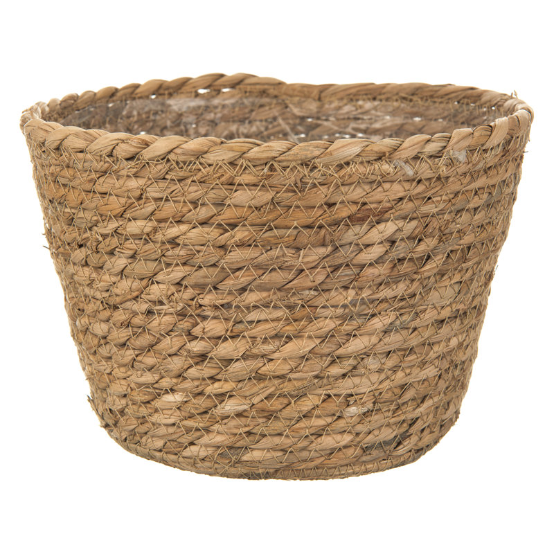 Walbourne Pot Planter, 8.50cm H x 12cm W x 14cm D