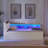 Upholstery Velvet Day Bed with Storage Headboard and Wireless Charging, Multi-functional Daybed with Two Storage Drawers and LED Lights-922754445