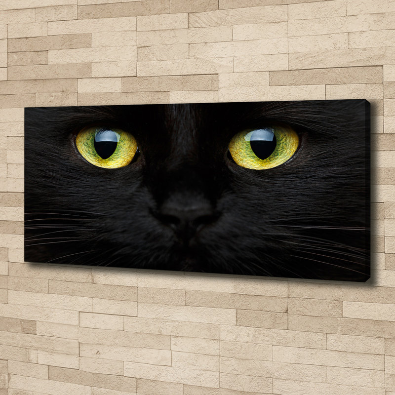 Cat'S Eyes - No Frame Print on Canvas