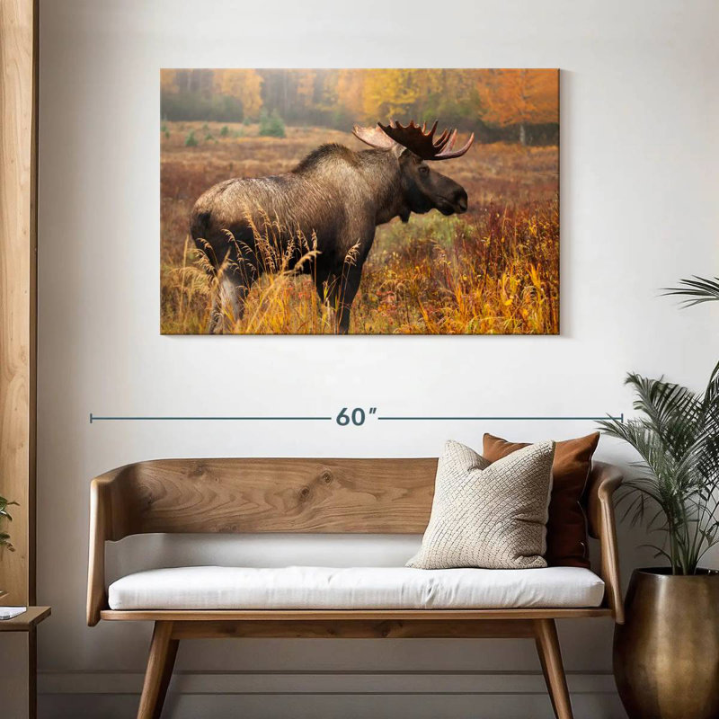 Crowle Mighty Alaskan Moose, H 30 po x l 45 po