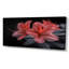 Rose, noir, rhododendron, fleur de minuit I - salon d'art mural rhododendron-1824067023-1660554762