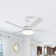 Vaczon 48" 5 - Blade Modern Ceiling Fan with LED Lights and Remote Control