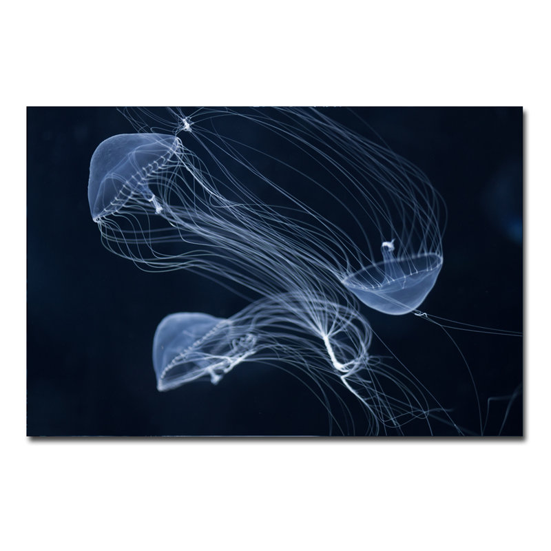 Jelly Fish Parade Three Print, 40" H x 60" W x 1.5" D