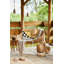 Housse et insert de coussin rectangulaire intérieur / extérieur en mélange de polyester / polyester Ikom-83783709