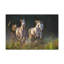 «Arab Horse Couple», impression d'art animalier-306750892