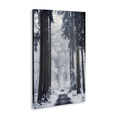 «Winter Fir Path», art mural sur toile par Martin Podt