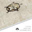 Tapis absorbant en peluche, Texas