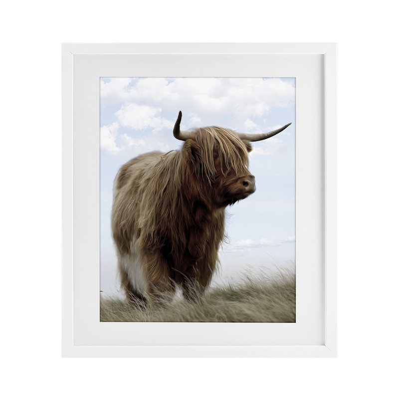 «Restful Look Highland Bovins», reproduction encadrée sous verre, conception de Marcus Prime, H 21 po x l 17 po